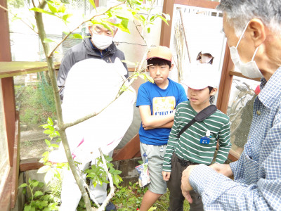 IMGP0520