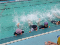 IMGP1180