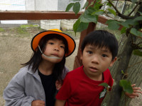 IMGP1137