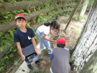 IMG_20260709_102917