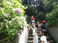 IMG_20260709_104223