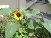 IMG_20260709_105113