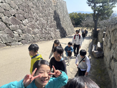 66314677892D38A4DA2039D0BB2B856F4F666608