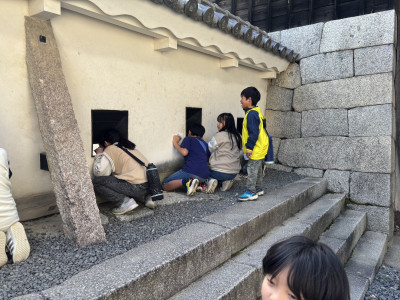 2D095A2E0B66A653FA8EB8447165134B0E30A736