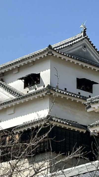 6FA58112FF4BF2A79EF79E85A38F7E383AAF32D4