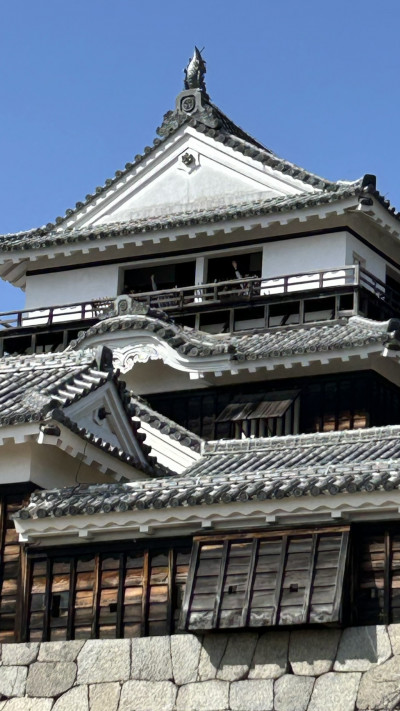 E87855214CE17AE78BF2DAB6AB41CBA456337AEA